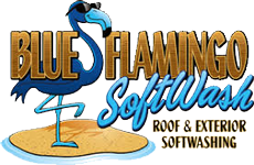 Blue Flamingo Softwash Logo